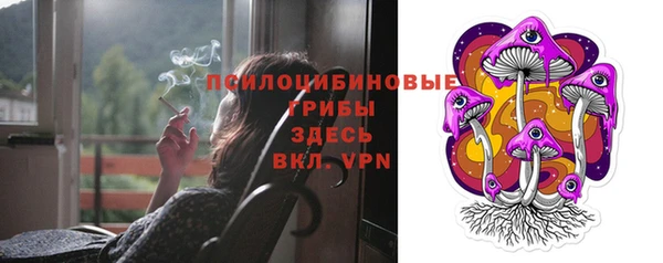 индика Абдулино