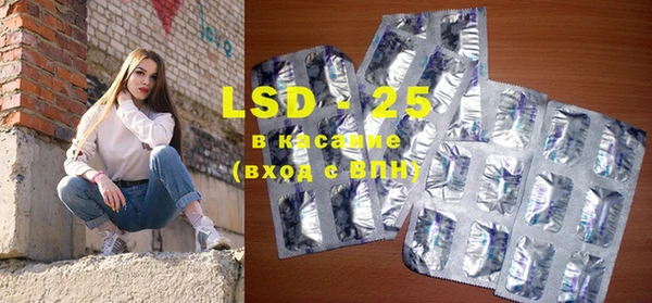 ешки Новодвинск