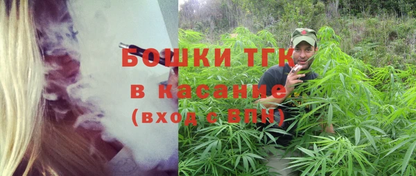 PSILOCYBIN Абаза