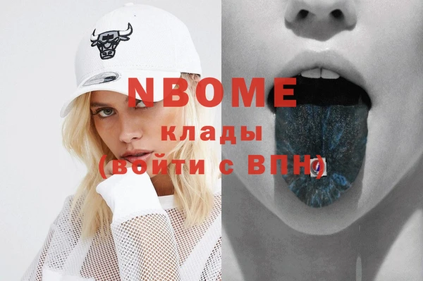 ешки Новодвинск