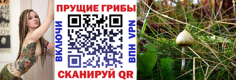 закладка  Энем  Псилоцибиновые грибы ЛСД 